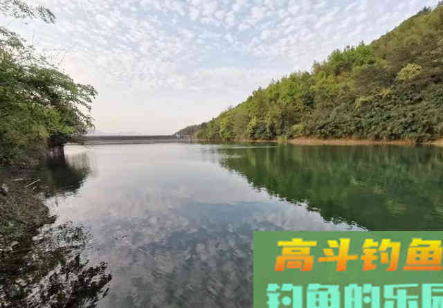 从钓位选择到装备搭配,手把手教你野钓翘嘴鱼 从钓位选择到装备搭配,手把手教你野钓翘嘴鱼