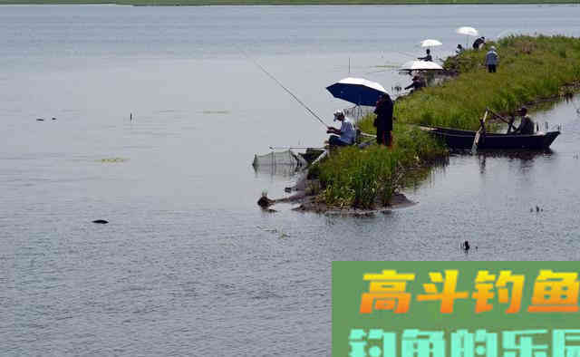 你与鲤鱼之间的距离，只差一个钓位，选错是喂鱼选对才是钓鱼
