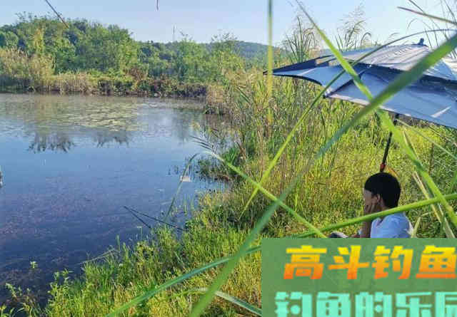 都知道钓鲫鱼要找水草,但很多人忽略了第二步 都知道钓鲫鱼要找水草,但很多人忽略了第二步
