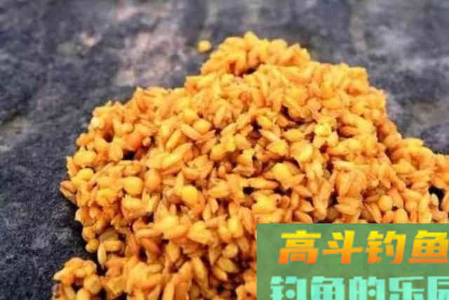 钓草鱼就学会这套特色钓法,二十年老钓手都竖大拇指 钓草鱼就学会这套特色钓法,二十年老钓手都竖大拇指