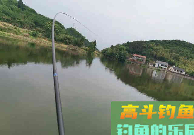 钓鲢鳙的鱼竿很难选？了解它的特点和钓法就知道原因了