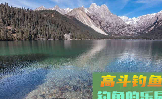 钓友常把它误认为草鱼,其实它是军鱼 钓友常把它误认为草鱼,其实它是军鱼