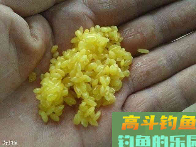 秋季钓鲫鱼时该如何调整作钓，选装备饵料窝料