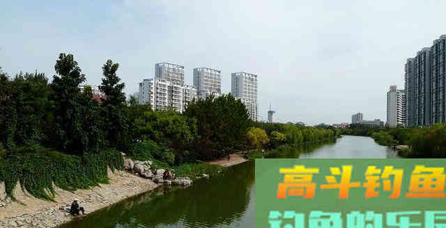 鲫鱼喜欢藏在这些地方，找准保你钓得爽