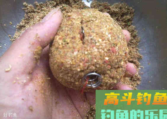 四月钓鲫鱼得留意好这些技巧