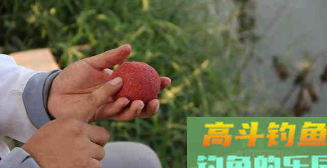 在冷秋来临之前，野钓鲫鱼还是要遵循这3要3不要