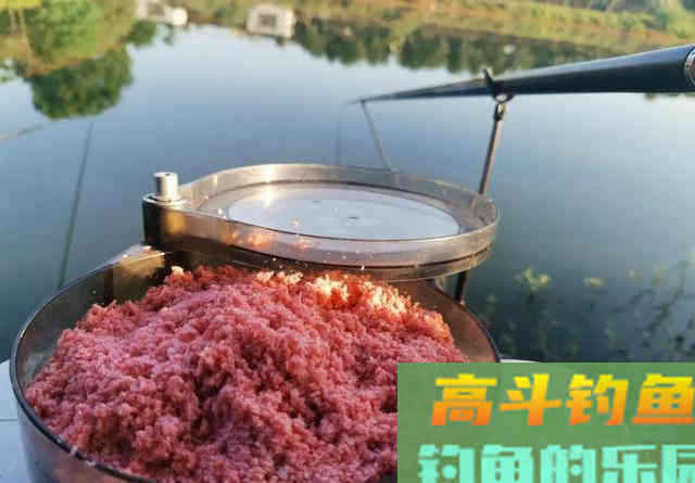 钓鲢鳙能打窝吗?这2位大师给出不同观点 钓鲢鳙能打窝吗?这2位大师给出不同观点