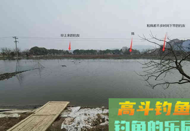 如何在藕塘钓鲫鱼？结合生活规律，谈选位与做窝