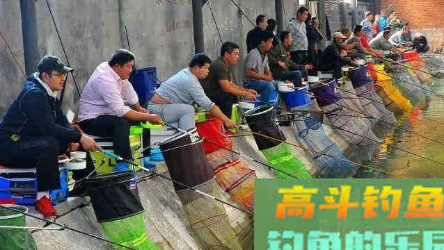 冬季大棚钓鲫鱼,想要渔获多,这三个基础技术常识要明白 冬季大棚钓鲫鱼,想要渔获多,这三个基础技术常识要明白