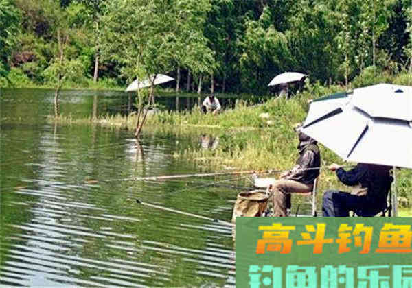 为何钓鲤上鱼多在早晚,午间却很难有中鱼的机会 为何钓鲤上鱼多在早晚,午间却很难有中鱼的机会
