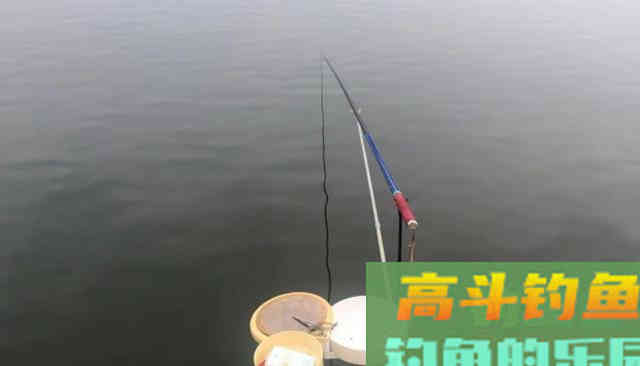 用玉米钓草鱼，学会这种调漂方法，想钓不到鱼都难