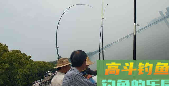 草鱼为何难钓?分析原因从它的生活习性入手 草鱼为何难钓?分析原因从它的生活习性入手