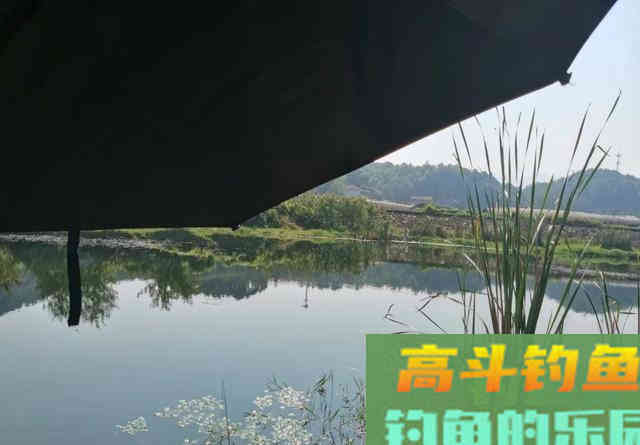 秋季的黑鱼最贪吃,只要按这个方法下钩,新手也能钓到 秋季的黑鱼最贪吃,只要按这个方法下钩,新手也能钓到