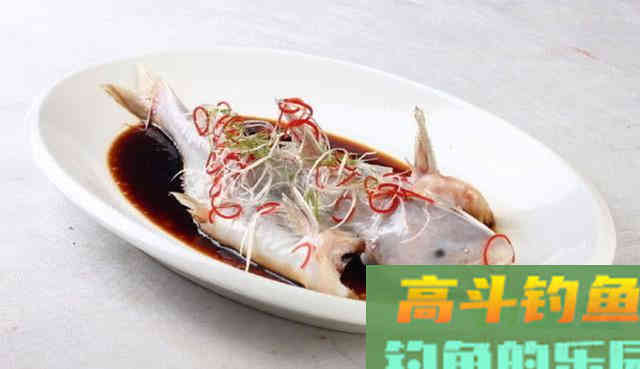 此鱼上海称鮰老鼠，四川名江团，贵州习鱼怎么钓