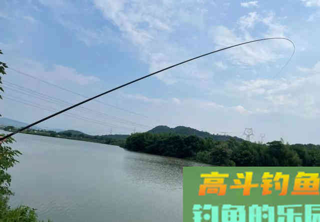 面对狡猾的鲤鱼，这样做才能让它安心