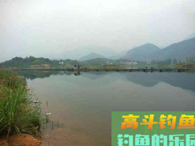 嘴巴小尾巴黄，3两重的冲劲很大，这鱼该如何垂钓