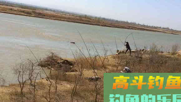 洛鲤伊鲂，贵于牛羊，钓黄河鲤是一种怎样的感受