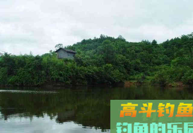 手竿如何垂钓大头鱼,4个方面重点就是饵要轻雾化好 手竿如何垂钓大头鱼,4个方面重点就是饵要轻雾化好