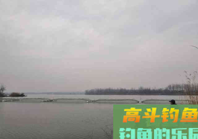 长江钓鱼，野钓鳊鱼分析教学，钓获20多斤野生鳊鱼和鲫鱼