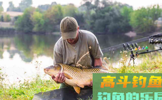 你与鲤鱼之间的距离，只差一个钓位，选错是喂鱼选对才是钓鱼