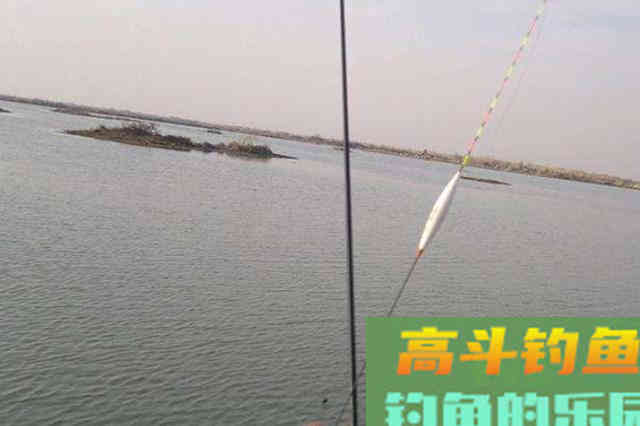 鲫鱼咬钩钓不上来，特烦恼？谨记3个调整技能