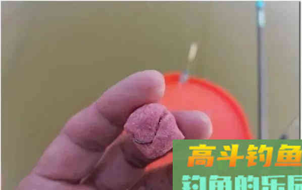 鲢鳙好不好钓？答案：好钓