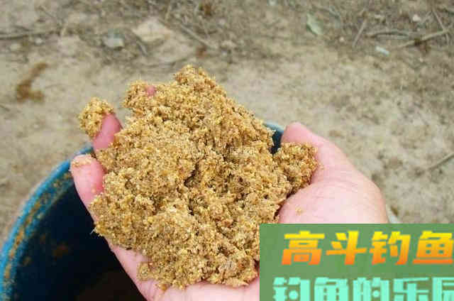 深秋阶段,户外野钓对付大板鲫的3个技巧 深秋阶段,户外野钓对付大板鲫的3个技巧
