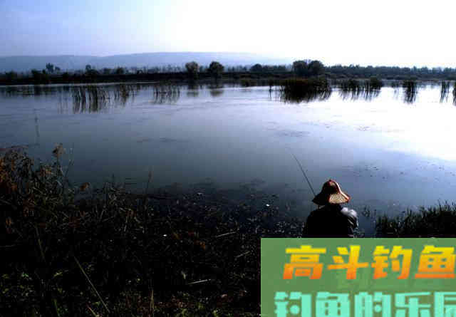 关于传统&ldquo;冬钓鲫&rdquo;的心得体会