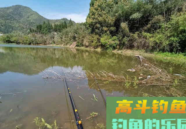 钓草鱼只要找到这种位置,连窝料都省了 钓草鱼只要找到这种位置,连窝料都省了