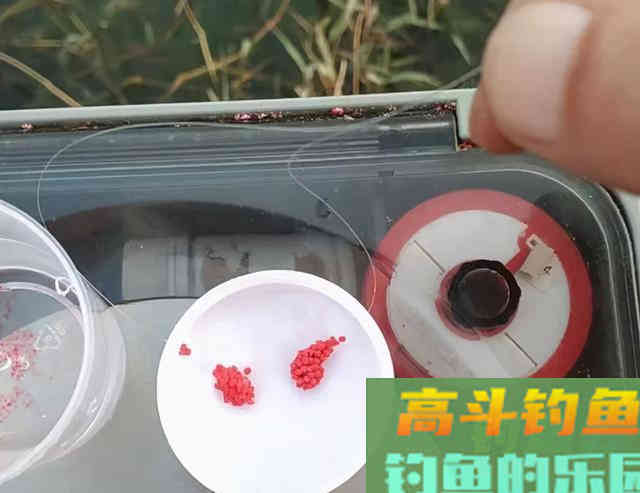 同样是空钩蘸小米，为啥别人连杆大板鲫，你不行