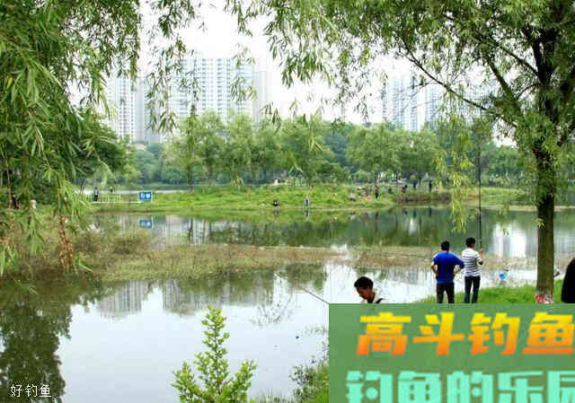 三个秋季野钓大鲫鱼技巧，学起来