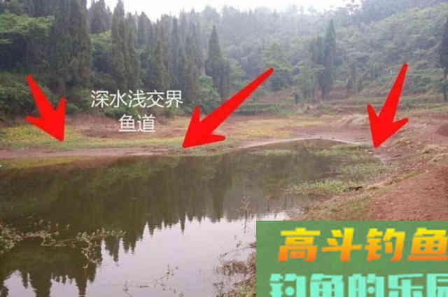 冬钓板鲫，一定常去这2个地方，藏鱼多
