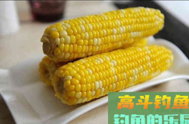 这鳊鱼钓法果然百试不爽 这鳊鱼钓法果然百试不爽