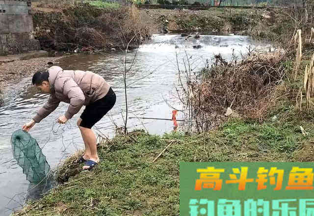河道经常发现狡猾甲鱼露出水面，要怎么钓上岸