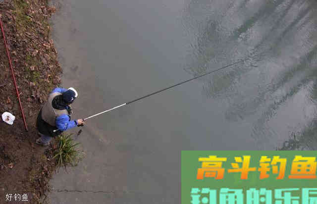 三个秋季野钓大鲫鱼技巧，学起来