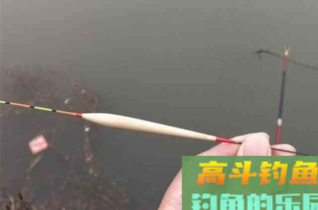 说了你可能不信,这才是对付鲢鳙鱼的最佳钓法 说了你可能不信,这才是对付鲢鳙鱼的最佳钓法