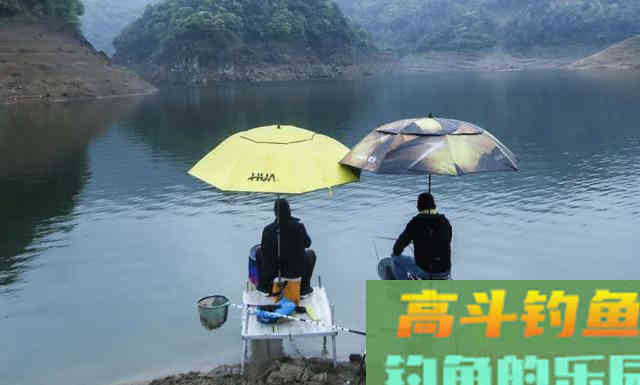 天气开始转暖，此时如何钓鲫鱼