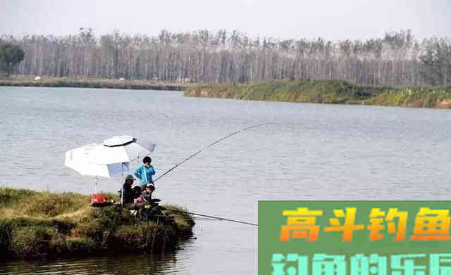 白露之后,野钓大鲤鱼,首选这些地形做钓位 白露之后,野钓大鲤鱼,首选这些地形做钓位