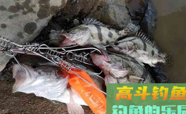 手竿钓鳜鱼,这种钓法很实用,方法简单,效果不一般 手竿钓鳜鱼,这种钓法很实用,方法简单,效果不一般