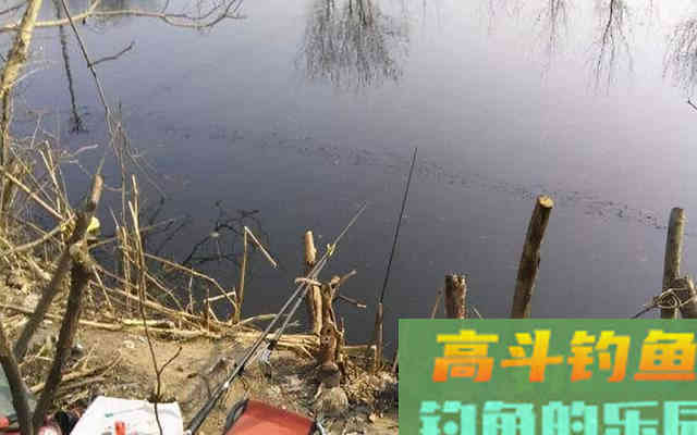 越冷越好钓鲫鱼?几点注意事项,助你满载鱼归 越冷越好钓鲫鱼?几点注意事项,助你满载鱼归