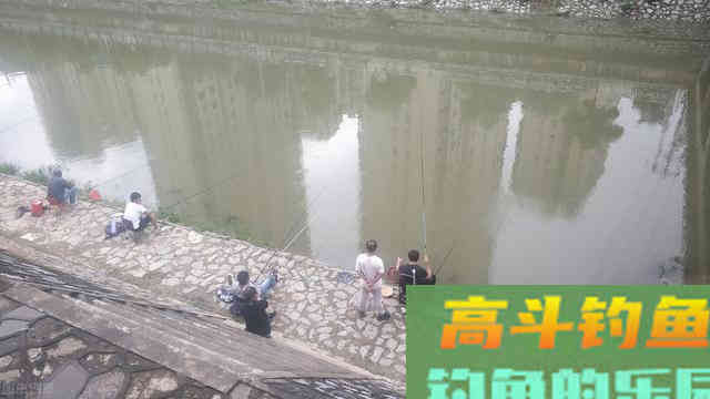 老钓友冬季都在使用的钓鲫鱼方法，装备简单无需打窝