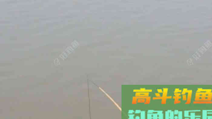 野钓策,野钓鲫鱼调与钓的几点感触 野钓策,野钓鲫鱼调与钓的几点感触