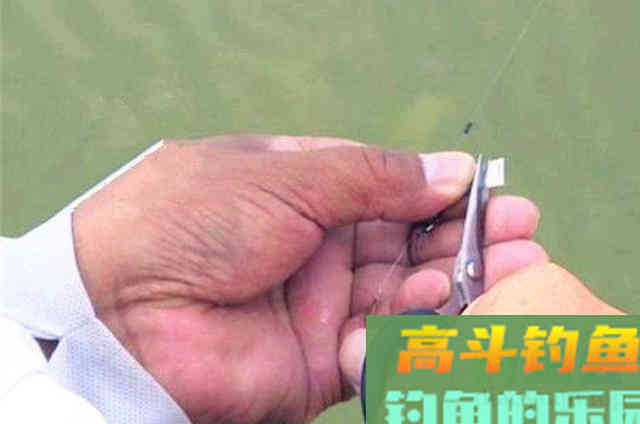 天气越热，大板鲫就越不好钓，还好我用了这绝招