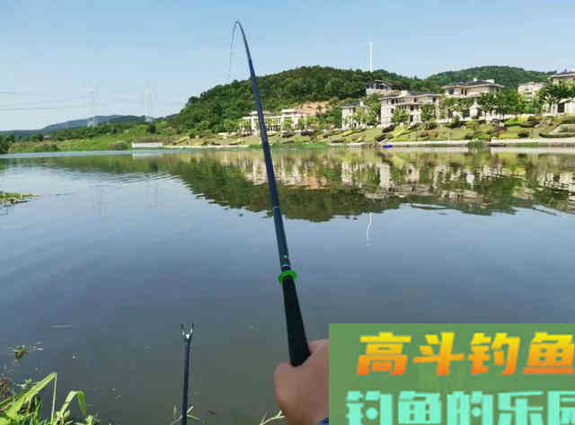 冬天钓鲫鱼，不光靠技术，&ldquo;套路&rdquo;比技术更实用
