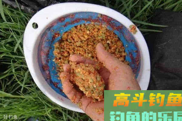 春季手竿钓鲤鱼的注意事项