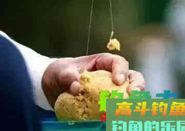 大鲫鱼该怎么钓？看大鲫鱼的基本配置