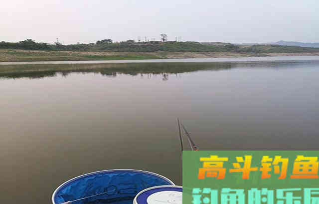 夏季鲫鱼难钓是什么原因？困惑的钓友看