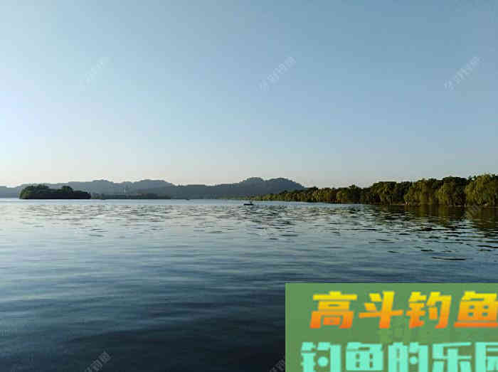 秋冬季钓大鲫鱼的技巧，钓法运用与饵料搭配