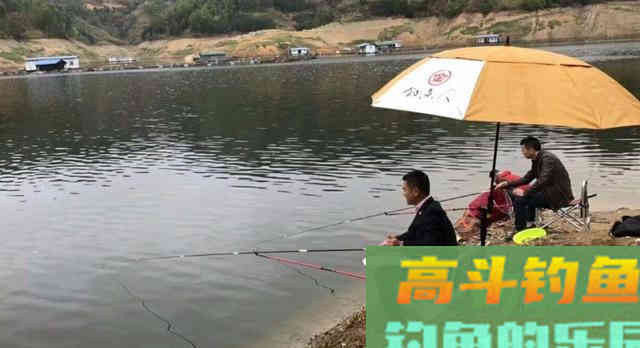 垂钓鲫鱼和鲤鱼，在钓法、钓饵等方面的差异