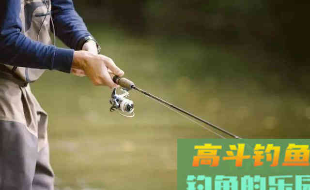 夏季钓黑鱼，分析黑鱼的生活习性选择合适钓法